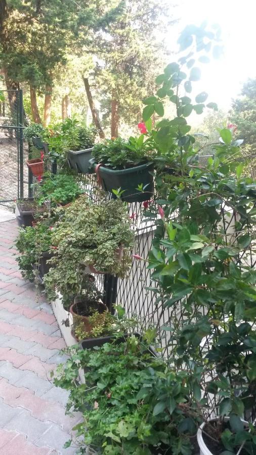 Anamarija Apartman Дубровник Екстер'єр фото